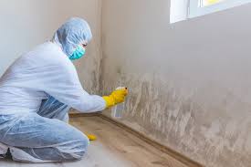 Best Mold Prevention Services  in Garden Plain, KS