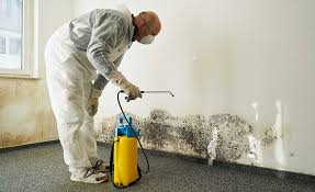 Best Mold Remediation for Healthcare Facilities  in Garden Plain, KS