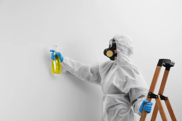 Best Emergency Mold Remediation  in Garden Plain, KS